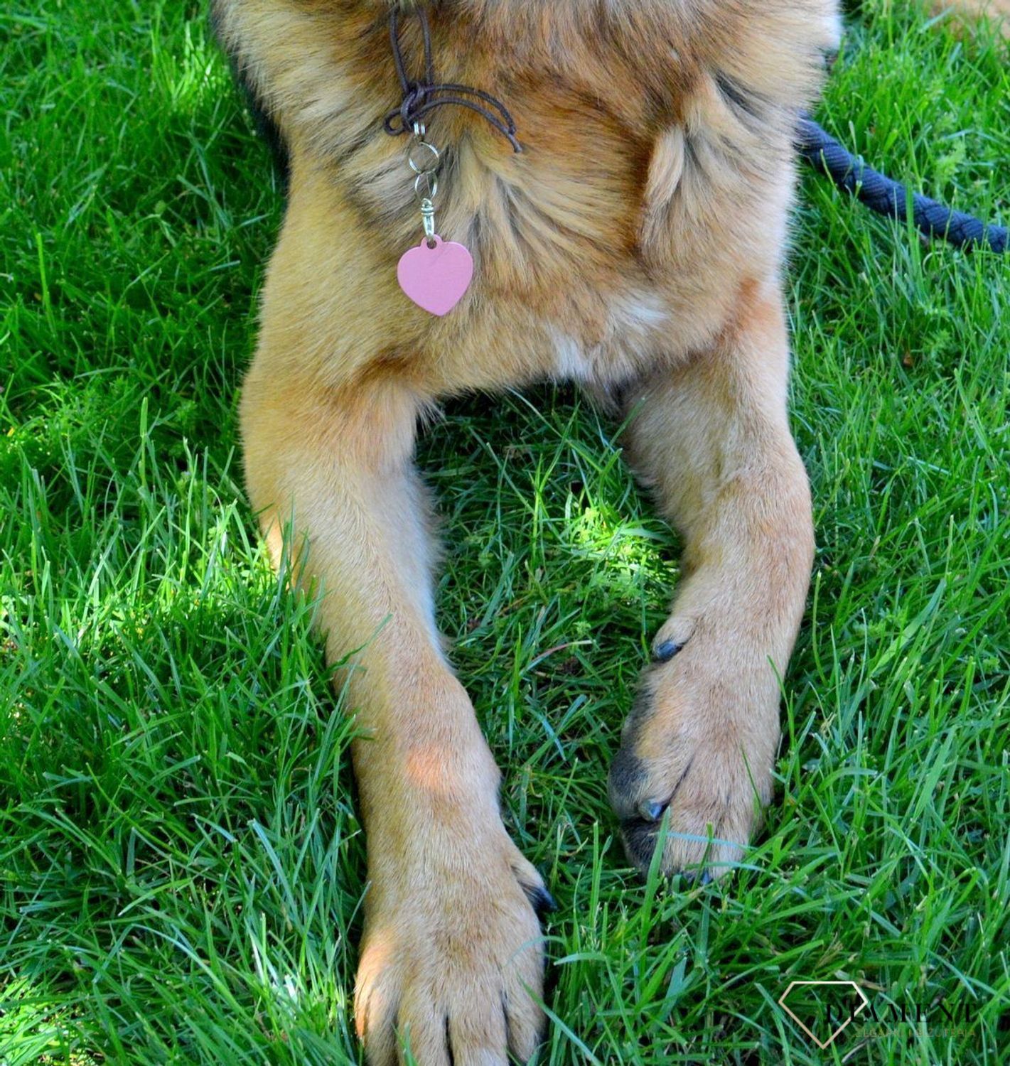 Serce blaszka dla pupila różowa 3,5 cm z miejscem na grawer Serce pink L. Blaszka w formie adresówki, identyfikatora dla psa. Blaszka z miejscem na grawer. Na adresówce możemy wygrawerować np. imię psa i nr telefonu do właścic.jpg